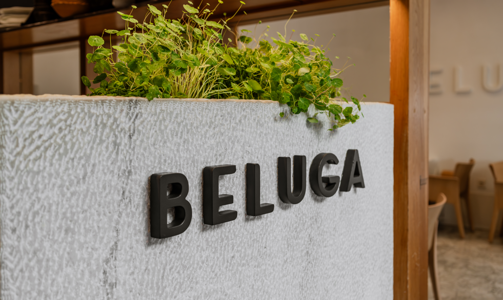Encuentro en Beluga